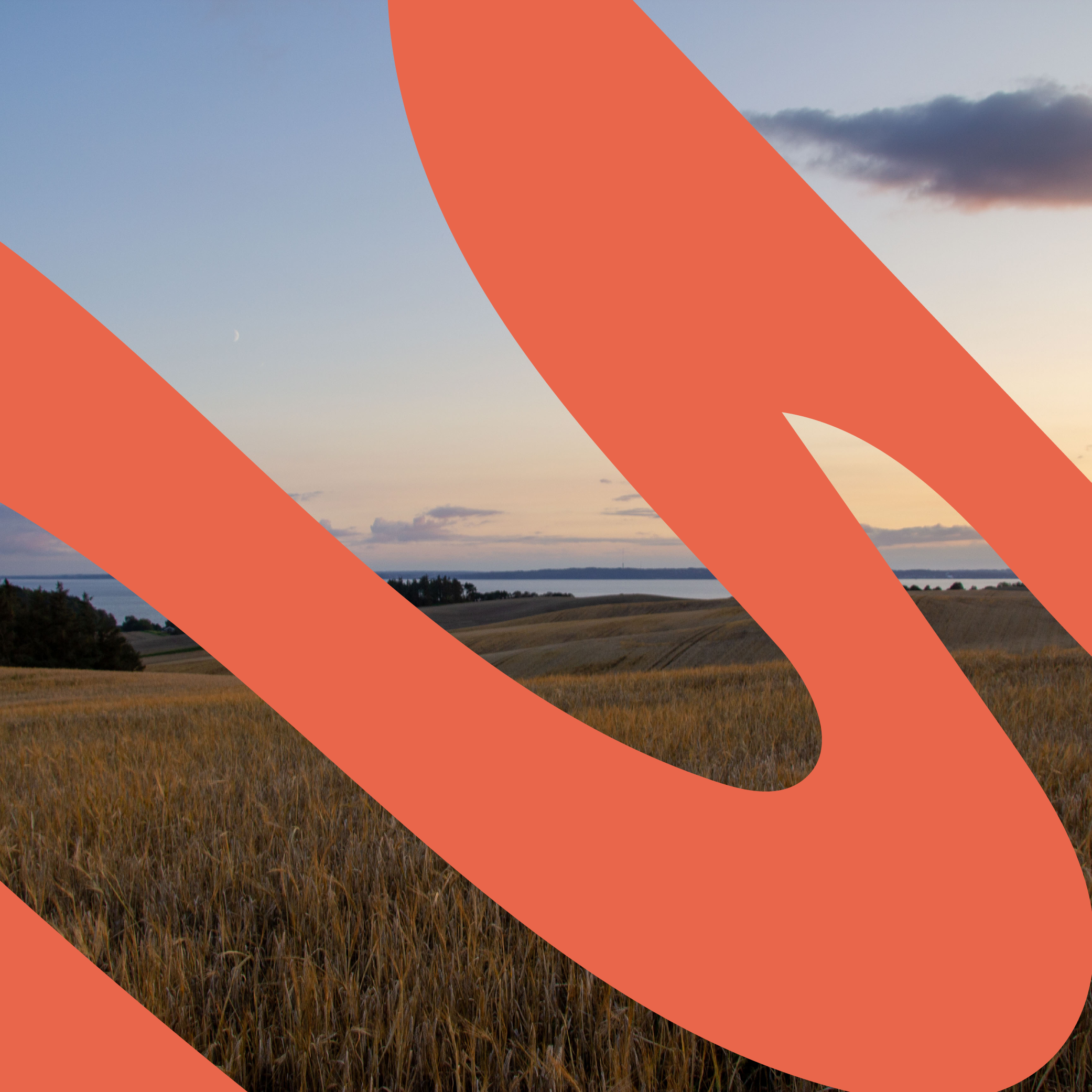 Billede – Mols – Grafik